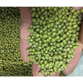1Kg Đỗ Xanh(Đậu Xanh) Nguyên Hạt