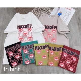Áo gấu dâu max chất cotton khô 3158 loại 1 form rộng túi zip xịn