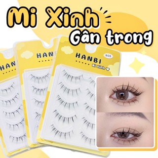 LÔNG MI GIẢ GÂN TRONG XINH XỈU✨🌟⭐️ HANBI MI XINH💛