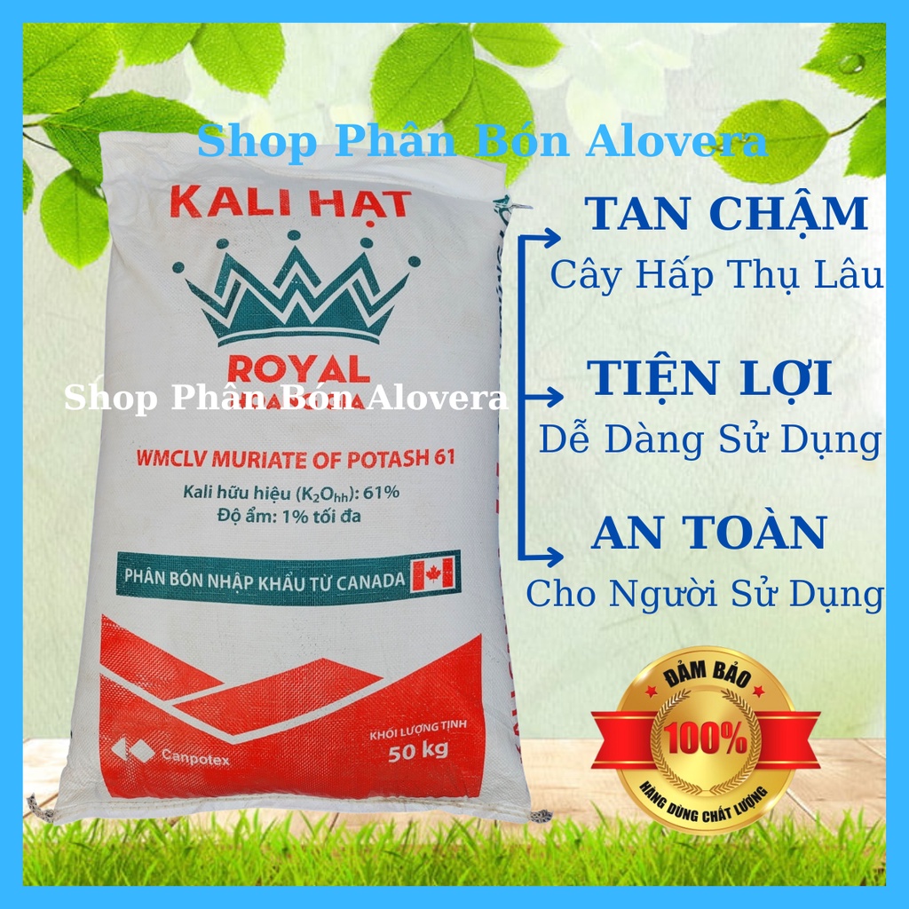 Phân KaLi Chuyên Siêu Ra Hoa Đậu Trái, Cứng Cây, Ngọt Quả, Dạng Bột Và Dạng Viên Hạt