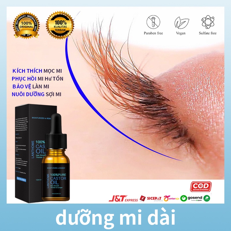 【Mua 3 Tặng 1】Dưỡng Lông Mi LANTHOME Serum lông mi kích mọc râu lông mi Tinh Dầu Dưỡng Lông Mi Giúp Mọc Dài Dày