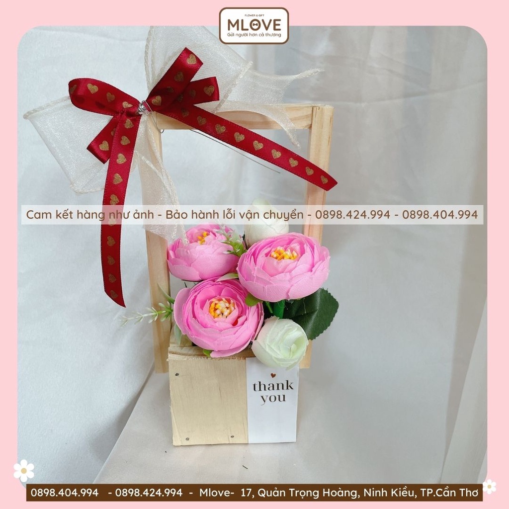 (Siêu rẻ) Chậu hoa mini siêu rẻ dùng để trang trí làm quà tặng sinh nhật lễ tết siêu dễ thương