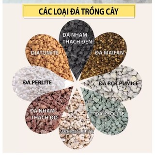 Giá thể đá trồng sen đá xương rồng pumice, perlite, nham thạch, vermiculite, Zeolite..... gói 1kg