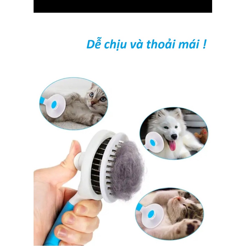 Lược chải lông nút bấm và Kìm cắt dũa móng cho chó mèo loại xịn !
