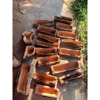 chậu gỗ lũa