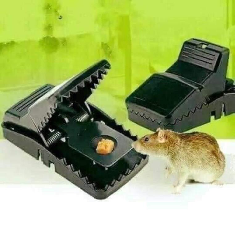 Kẹp bẫy chuột thông minh dễ sử dụng, diệt chuột hiệu quả an toàn