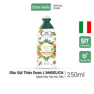 Dầu Gội Phục Hồi Và Nuôi Dưỡng Tóc Hư Tổn L'angelica Nourishing for Brittle and Damaged Hair
