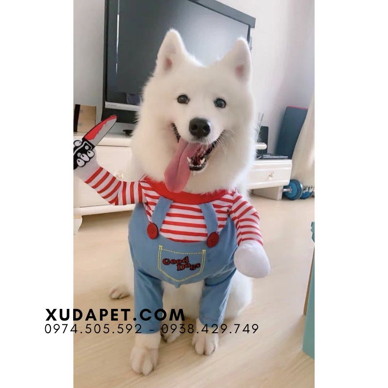 Áo hóa trang Chucky cho chó cute - SP006019chucky