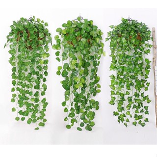 Chùm dây leo lá rủ treo tường trang trí nhà cửa, nhà hàng quán café, lá trầu bà, trường xuân, nho