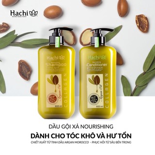 BỘ DẦU GỘI XẢ HACHI TINH CHẤT ARGAN OIL DÀNH CHO TÓC KHÔ XƠ HƯ TỔN, TÓC NHUỘM