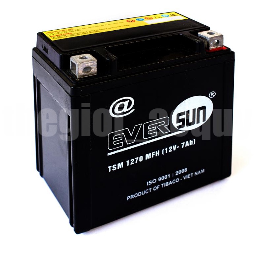 Ắc quy xe máy Eversun 12V-7Ah (TSM1270MFH)