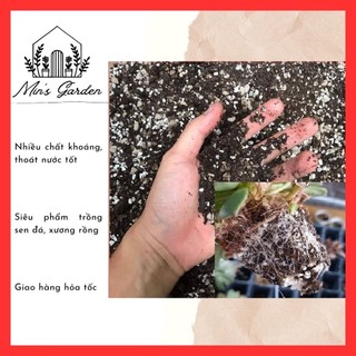 Đất trồng sen đá, xương rồng trộn sẵn 🔥FREE SHIP🔥 siêu phẩm trồng sen đá, xương rồng