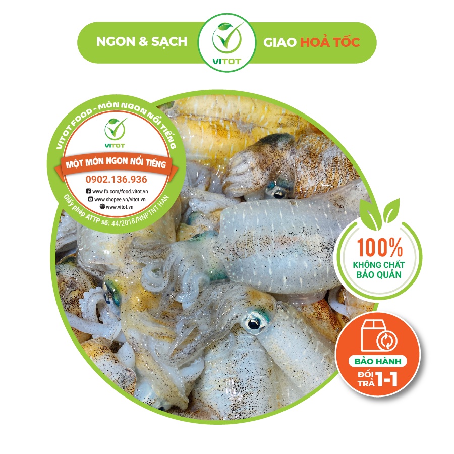 Mực Lá Câu VITOT Đặc Sản Phan Thiết Mực Cam Kết Giòn Ngọt Ngon