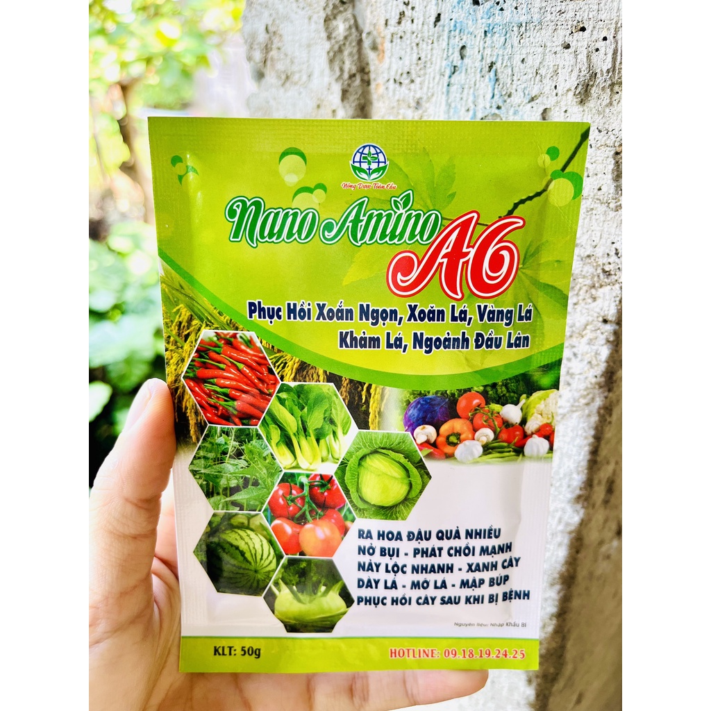 Nano amino A6 (50gr) - Bung chồi, vọt đọt, thúc bật mầm hoa, xanh lá, dày lá, phục hồi cây sau bệnh