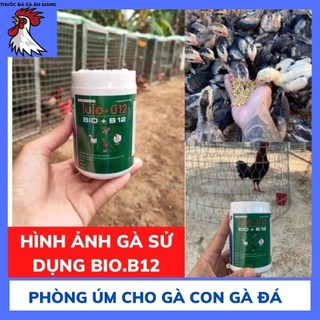 Bio+b12 thái - 2 lựa chọn gói 20 gr hoặc hũ 100gr..