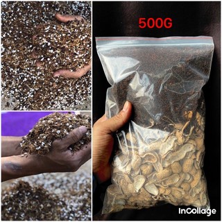 Vỏ lạc mix dớn: Thích hợp trồng kiểng lá và hoa Cẩm cù - hoya