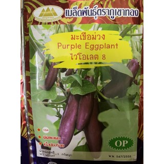 hạt giống cà tím dài nhập khẩu thái lan