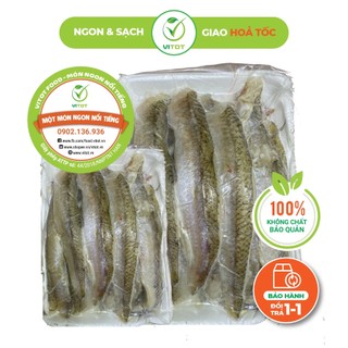 [HỎA TỐC] Cá Mối Dẻo Một Nắng VITOT Trọng Lượng 500gr Say Đắm Lòng Người