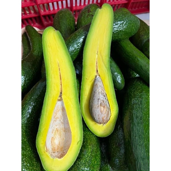 Trái cây tươi ĐÀ LẠT - Chuối Laba Đà Lạt - Bơ 034