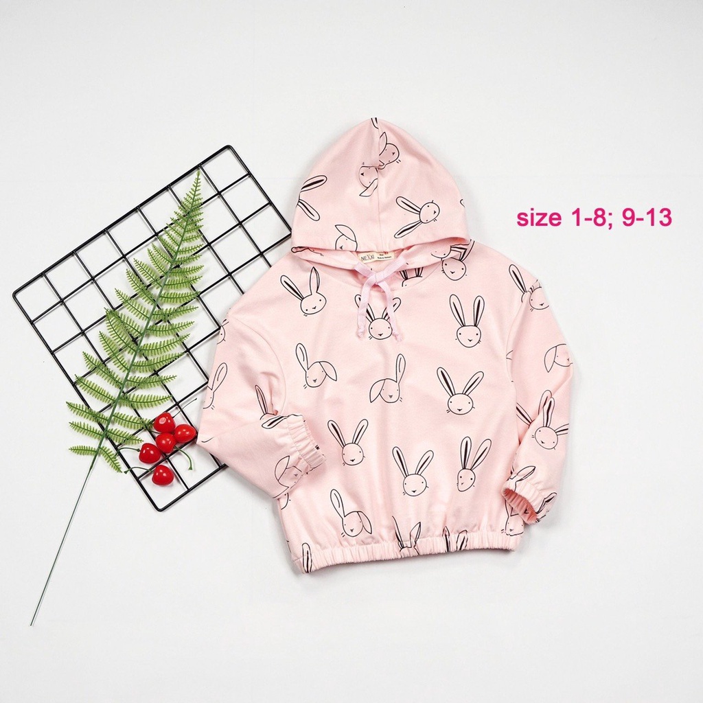 ÁO HODDIE DC 2C HT THỎ