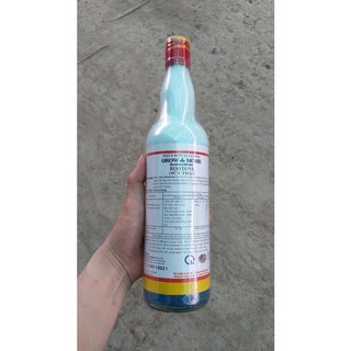 Kích Rễ RootOne (Sữa Thái GM) 725ml