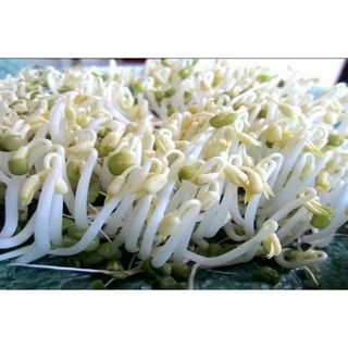 1Kg Đỗ Xanh(Đậu Xanh) Nguyên Hạt