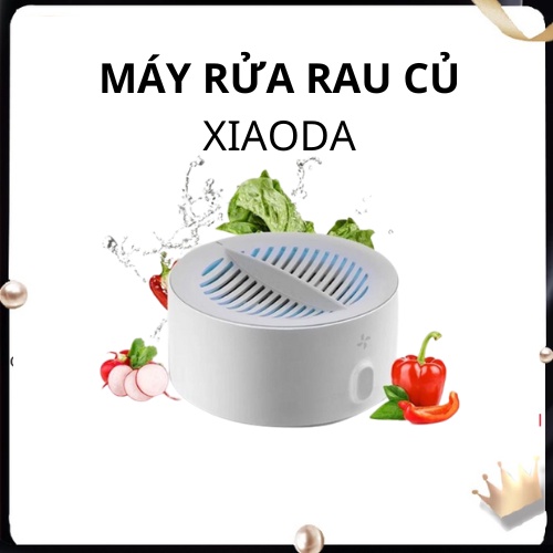 Máy rửa khử trùng rau củ quả Xiaoda HD-ZNGSQXJ01