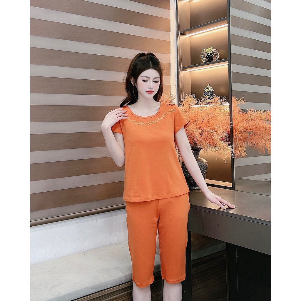 Bộ đồ mặc nhà COTTON hãng IK. Bộ ngủ trung niên trẻ trung chất cotton mềm mại, thoáng mát, kiểu trơn dễ mặc, dáng ngố