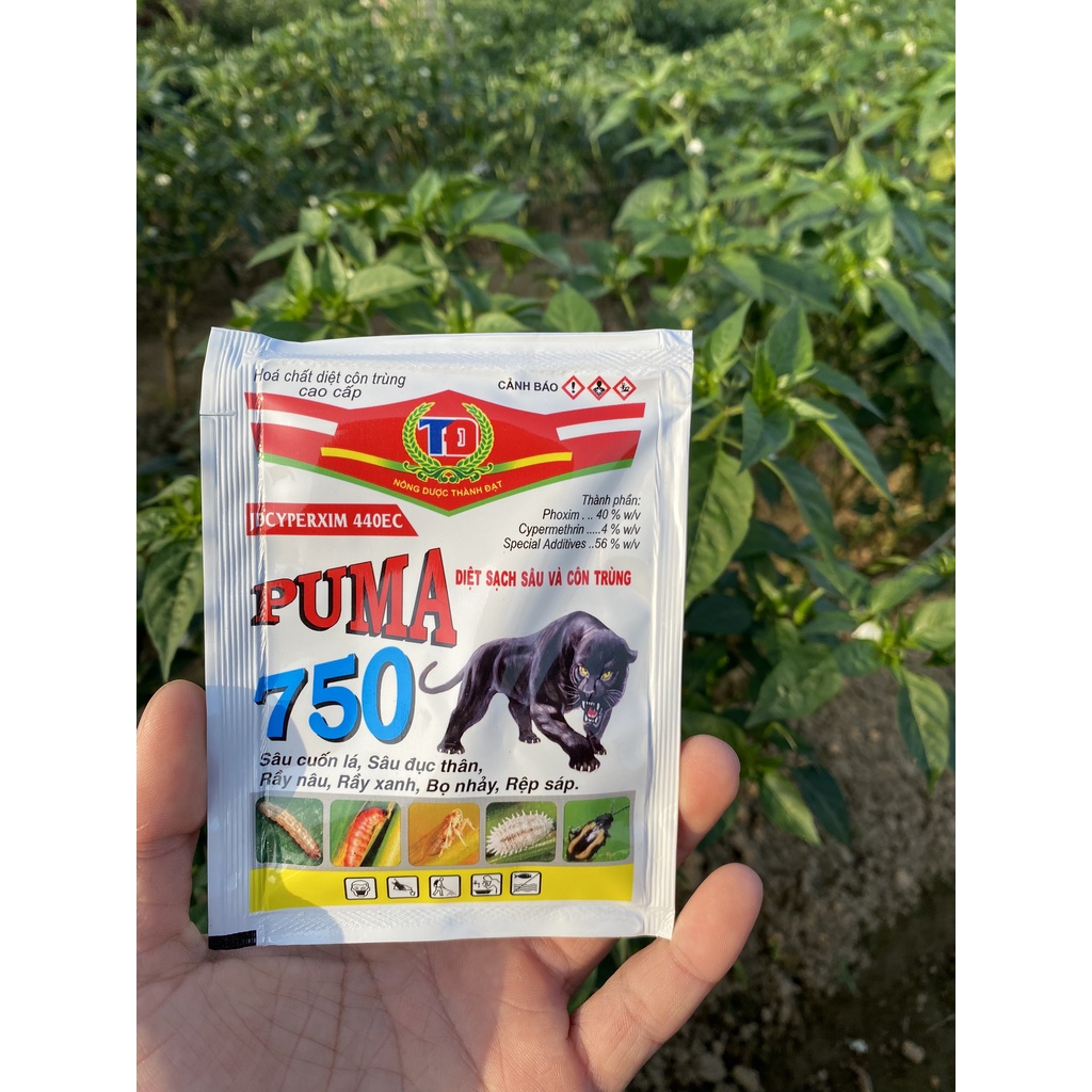 Puma (20ml) - Giải pháp cho sâu và côn trùng