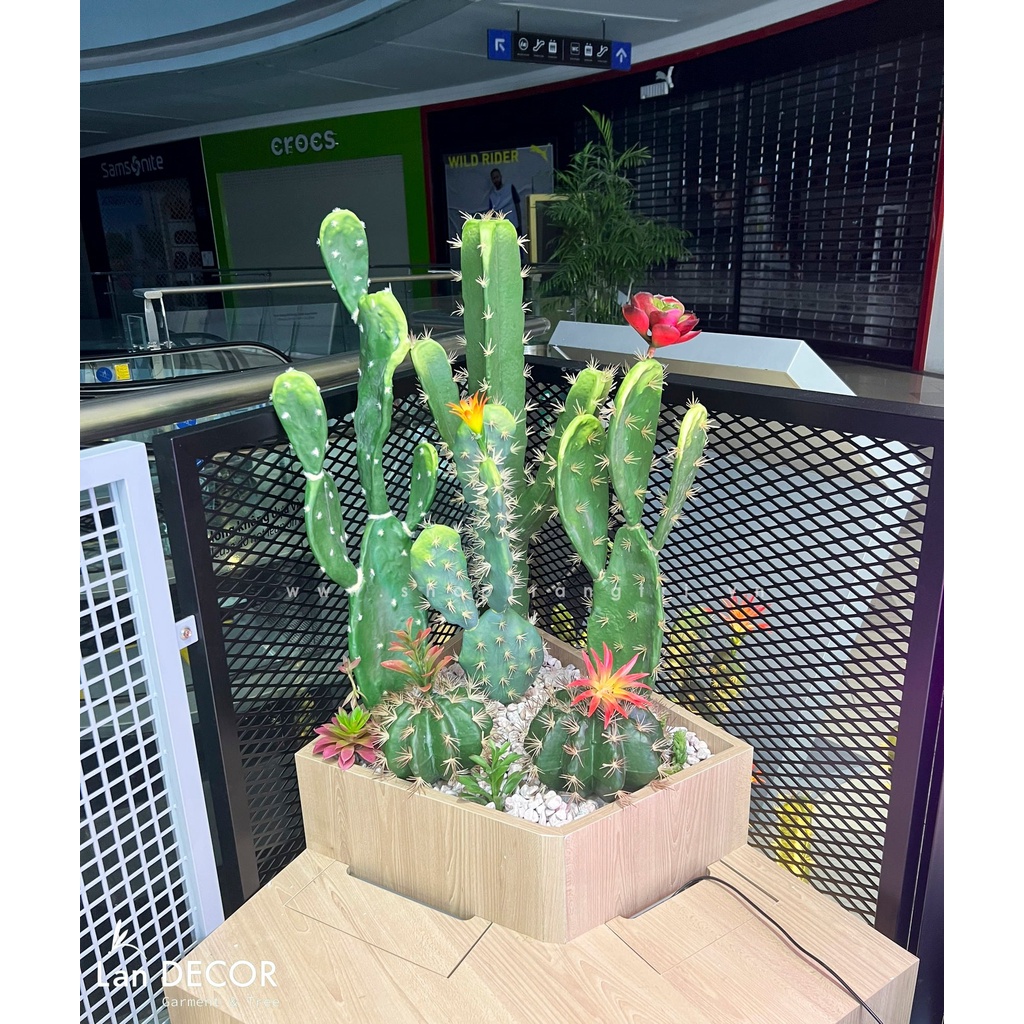 Cây xương rồng giả - Xương rồng giả giống hệt cây thật decor quán cafe, nhà hàng tạo không gian sang trọng, Lan Decor
