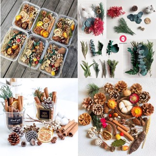 Hộp hoa khô trang trí, thảo mộc, lá thơm, hạt thông decor phòng, phụ kiện chụp ảnh, mix nhiều loại