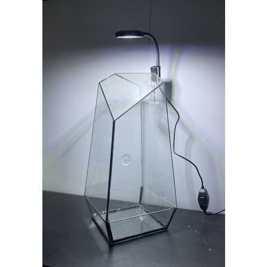 Đèn Led mini 4w cho bể Terrarium