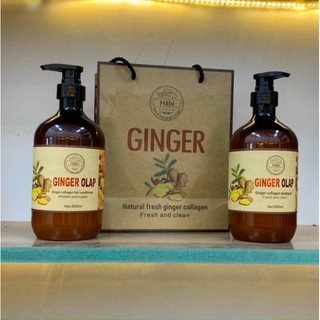Cặp Dầu Gội Xả Gừng Ginger Olap 800ml x2