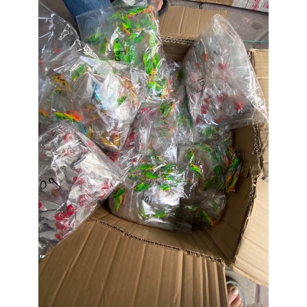 Cá Sắt đuôi có thìa 10g cực nhạy