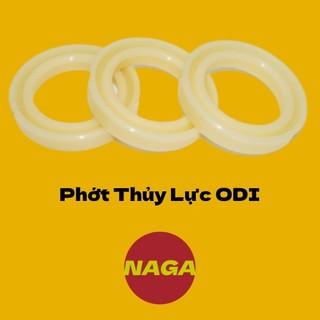Phớt ben thủy lực nok odi 7510 - fu0896-h0