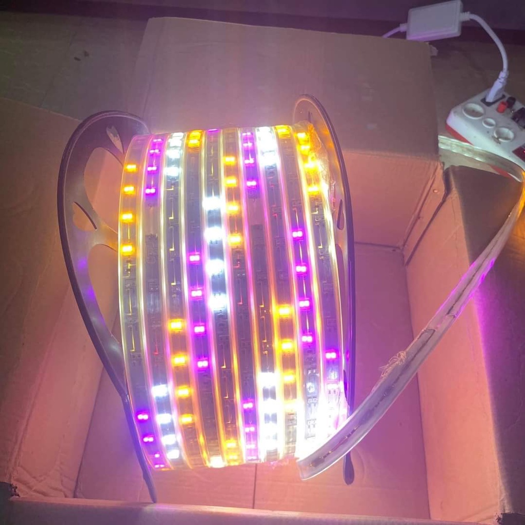 Đèn dây led đuổi 1 hàng và 2 hàng 2835 dùng trang trí ngoài trời, quấn cây, trang trí quán cafe, biển quảng cáo