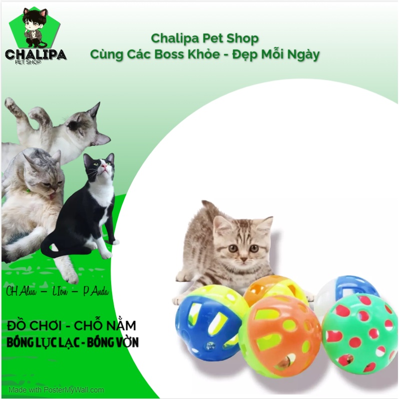 Banh Vờn - Banh Đồ Chơi Dành Cho Mèo