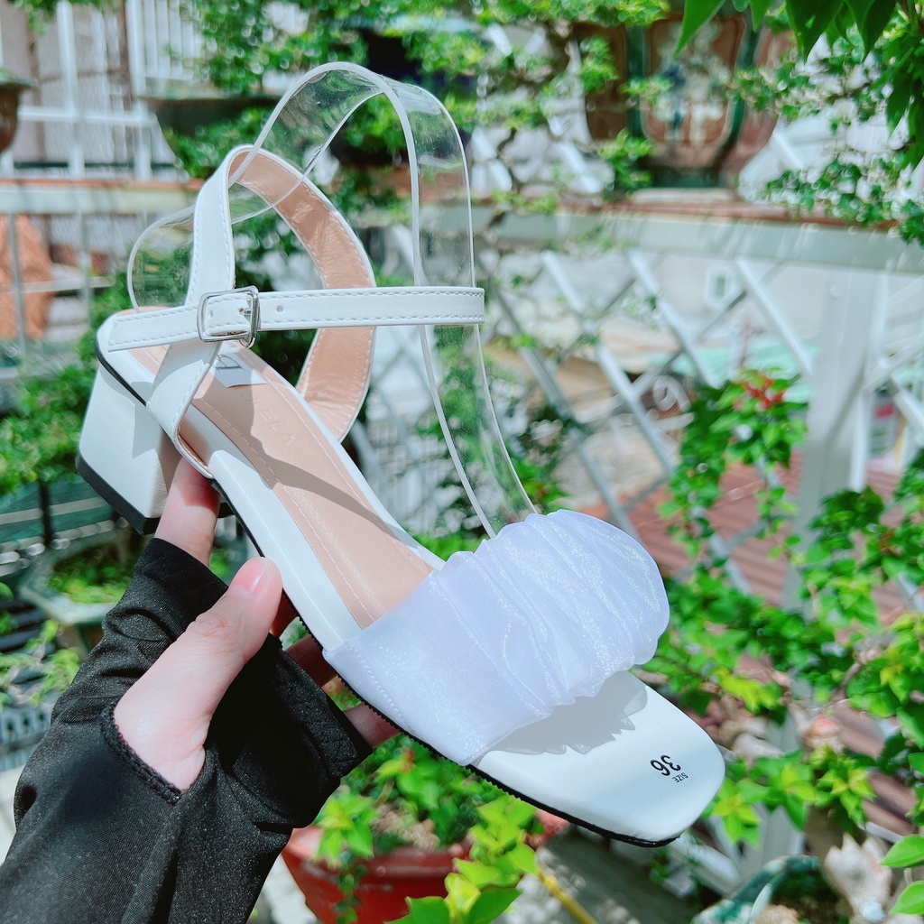 Sandan quai voan nhún bèo xinh 5cm - B8