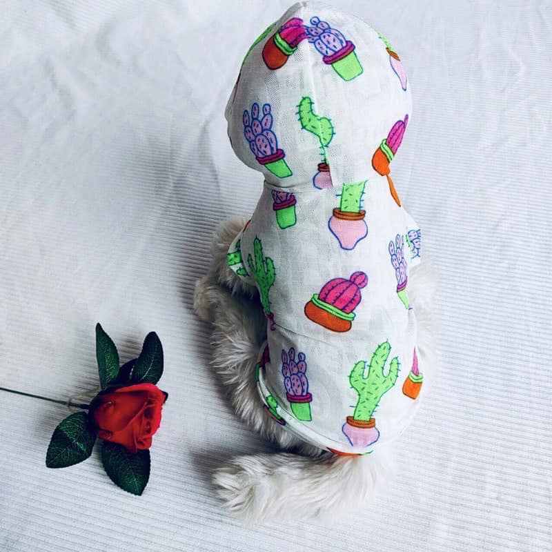 AT LƯỚI MÙA HÈ CÓ NÓN MÁT MẺ