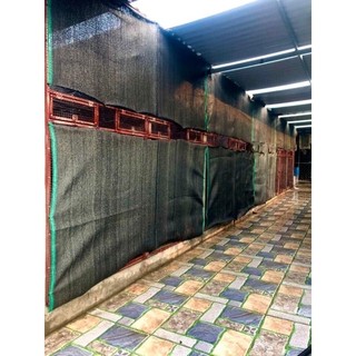 tổ chim sinh sản 2023