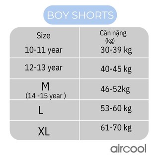 Quần chip (lót đùi,boxer) Aircool bé trai