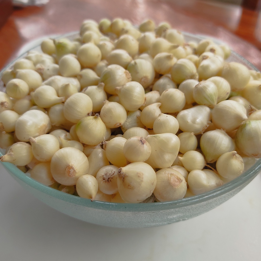 Hành tăm  xứ nghệ đạt chứng nhận O cop về chất lượng.