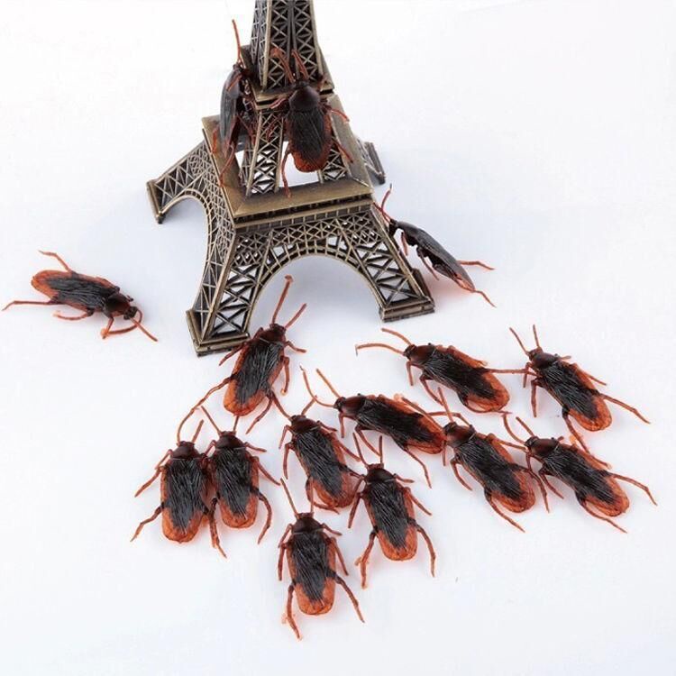 Đồ chơi con gián nhựa tinh nghịch bằng nhựa dẻo trang trí Halloween, làm đồ chơi cho chó mèo G55 DALOI