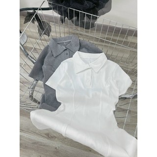 ĐẦM POLO XẺ ĐÙI 2 MÀU