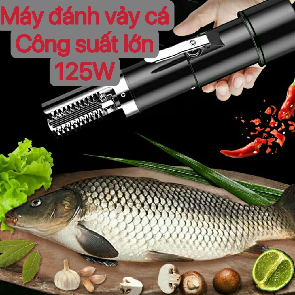 Pin máy đánh vảy cá cầm tay,phụ kiện máy cạo vảy dùng pin hoặc dùng điện mẫu mới nhất -chính hãng