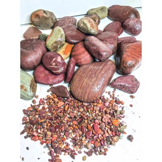 Đá Cuội Màu & Đá Sạn Trải Nền Trang Trí Bể Thủy Sinh, Biotope (1kg)