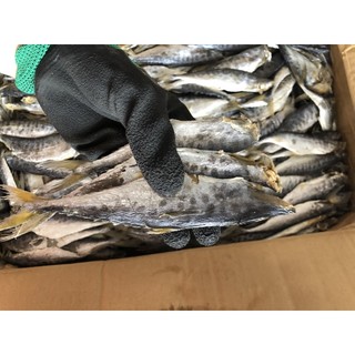 500g Cá thu nhỏ héo mặn / Cá thu phấn