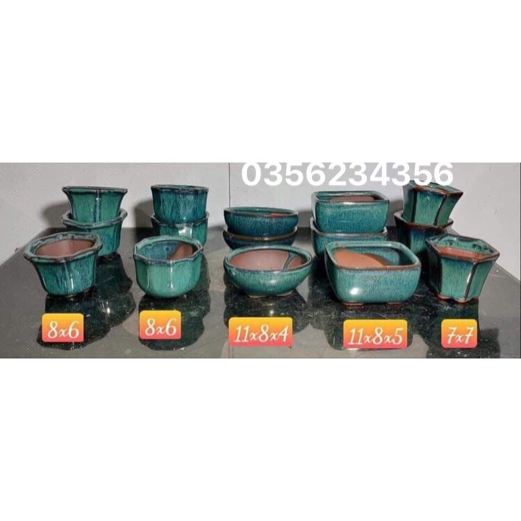 Combo 15 chậu bonsai cây cảnh sen đá mini màu xanh SP554