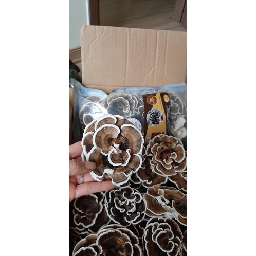 Nấm Vân Chi 250g-Trung tâm ứng dụng tiến bộ KH & CN