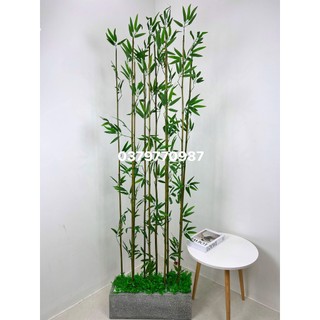 Cây giả - combo 20 cây trúc dài 1m5